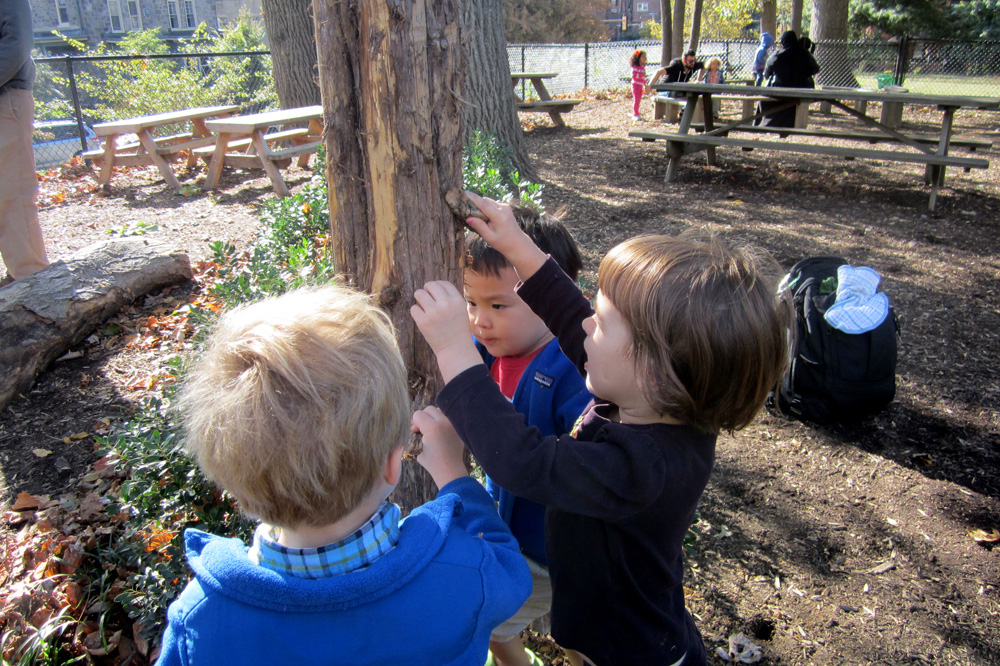 Children on PIC Magic Circle Nature Playground