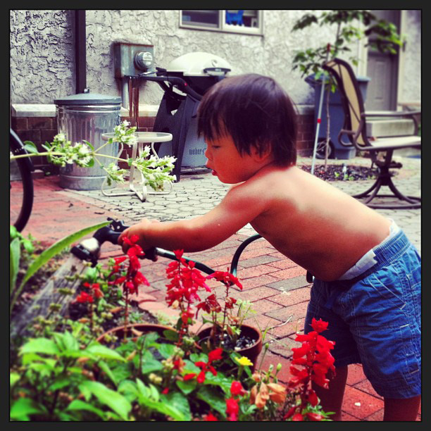 PIC Kid Waters the Garden