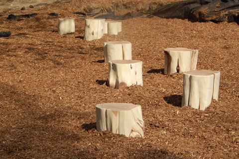 Step Stumps in PIC Outdoor Classroom