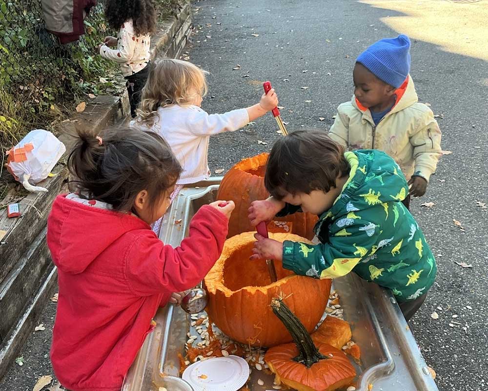 Fall Family Fest pumpkin digging