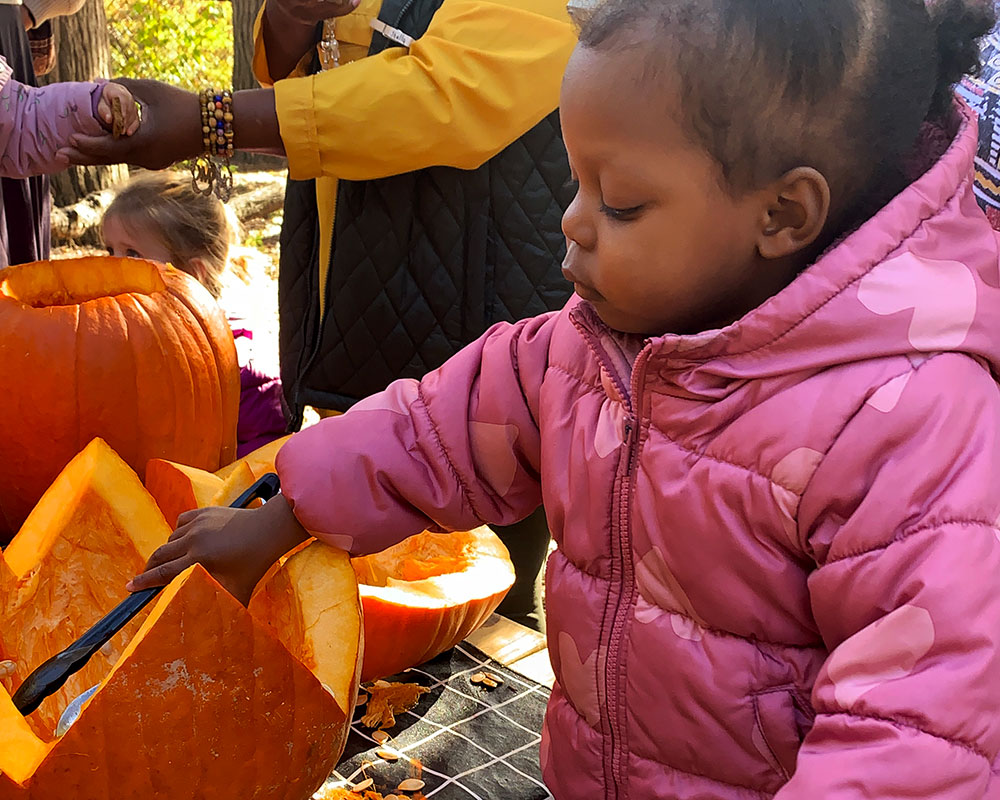 exploring pumpkins