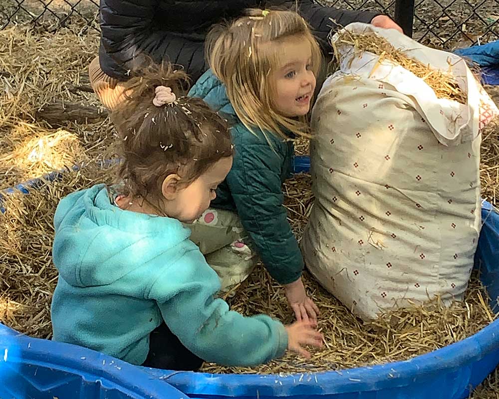scarecrow filling