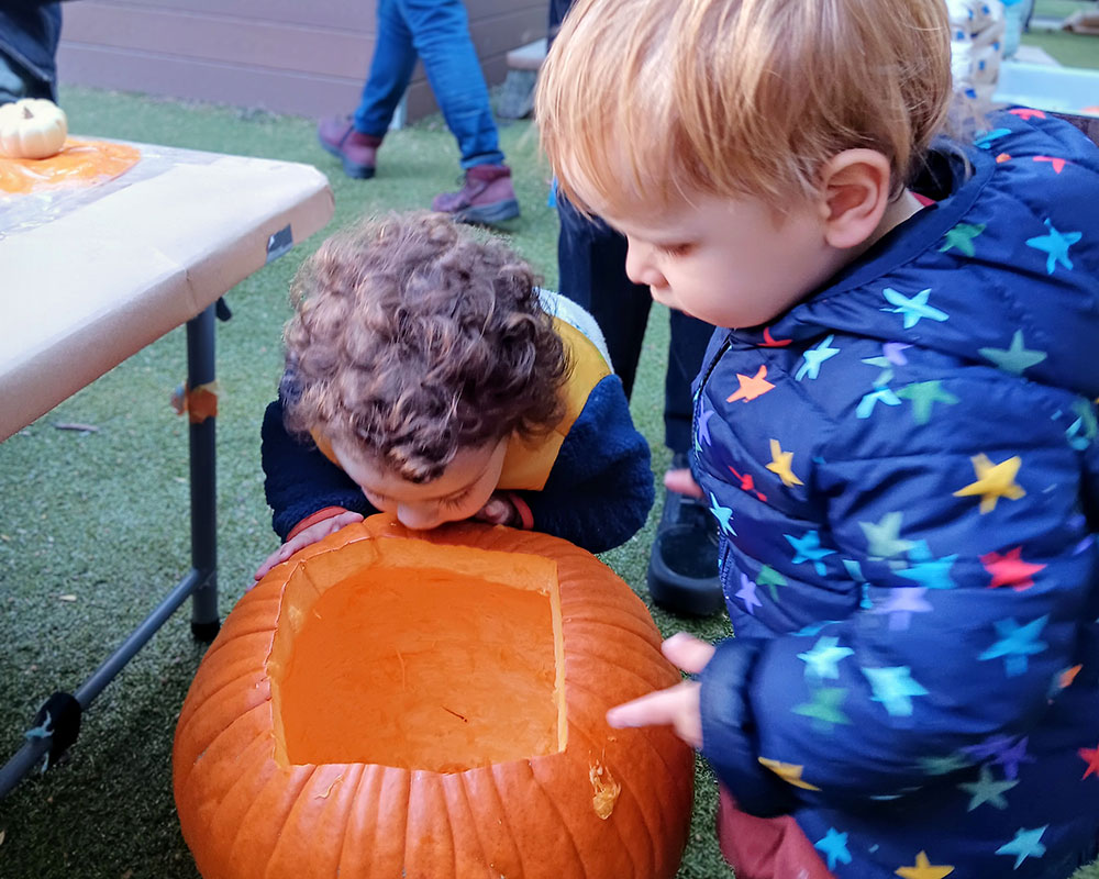 Pumpkin exploration