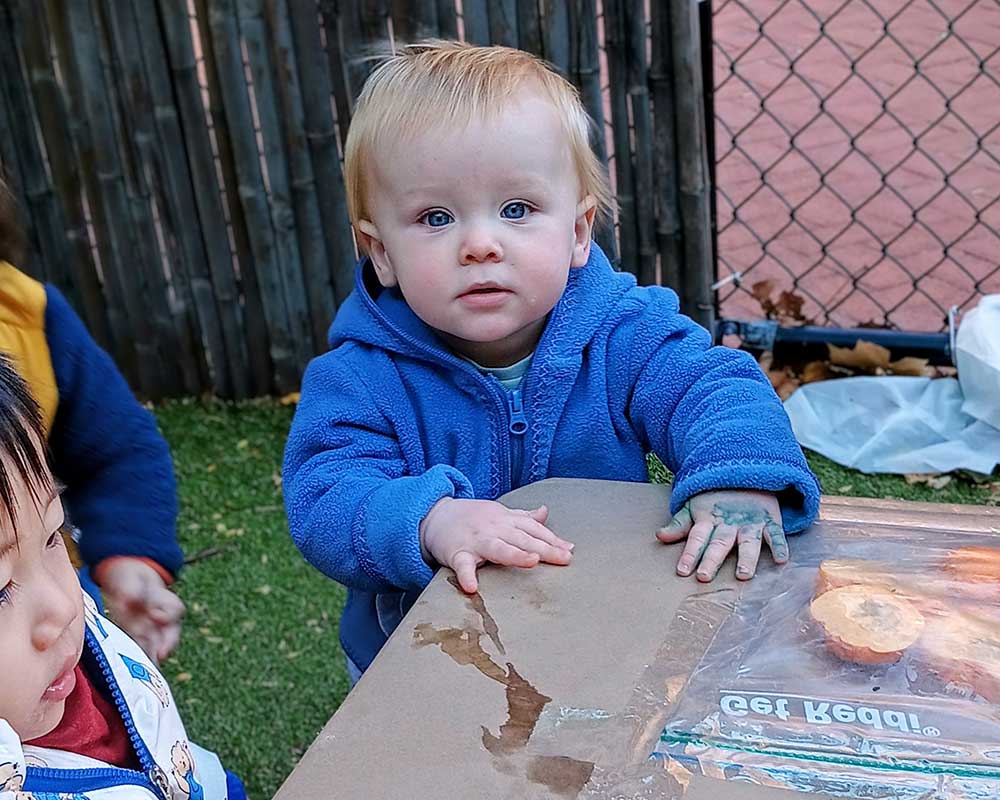 little pumpkins