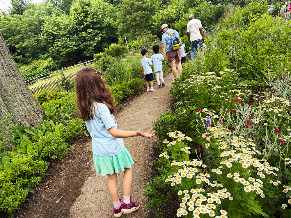 On a hike they spot some flowers