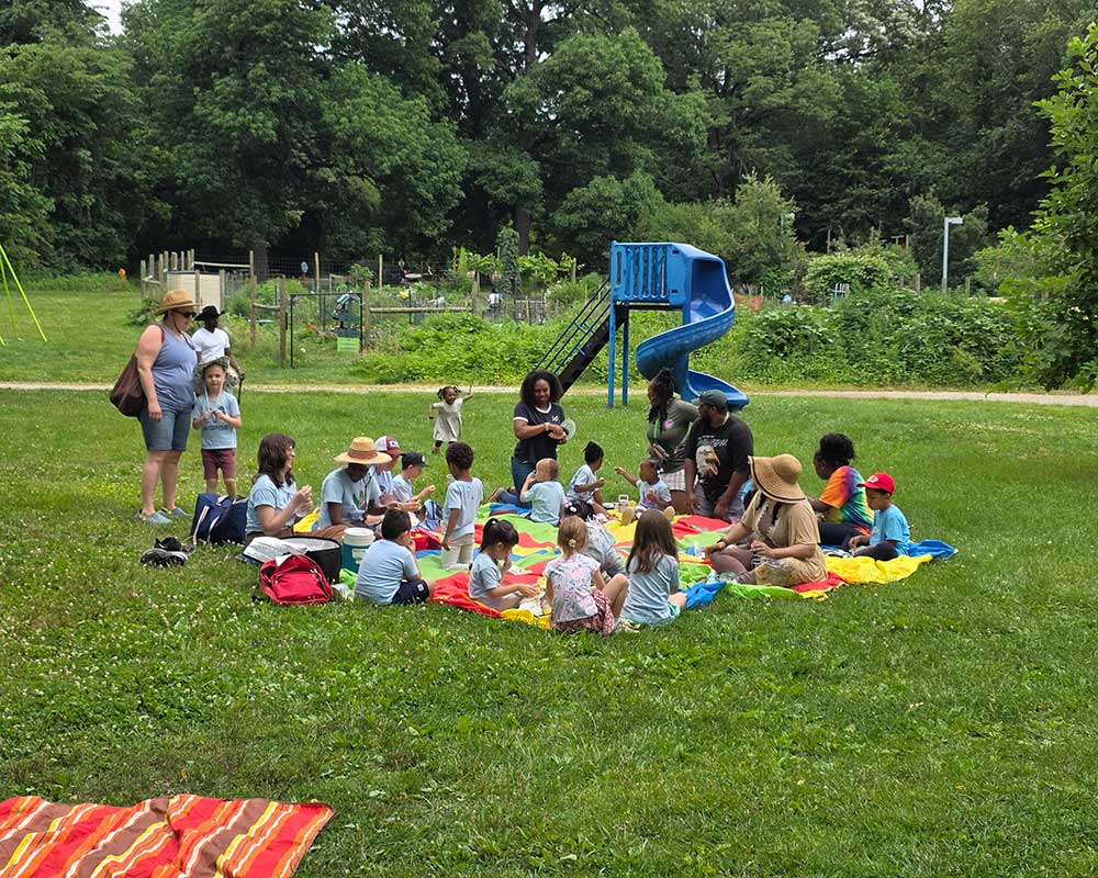 Picnic lunch