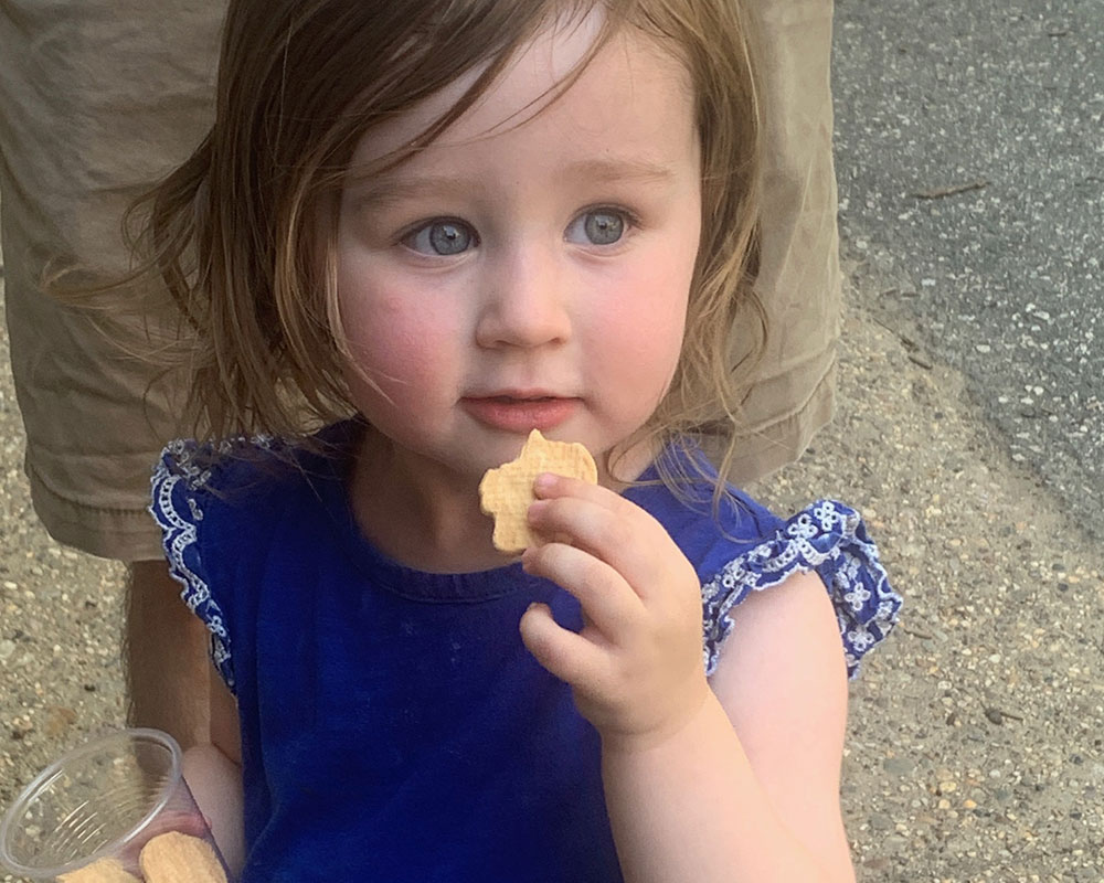Lemonade Lull 2025. Cookies.