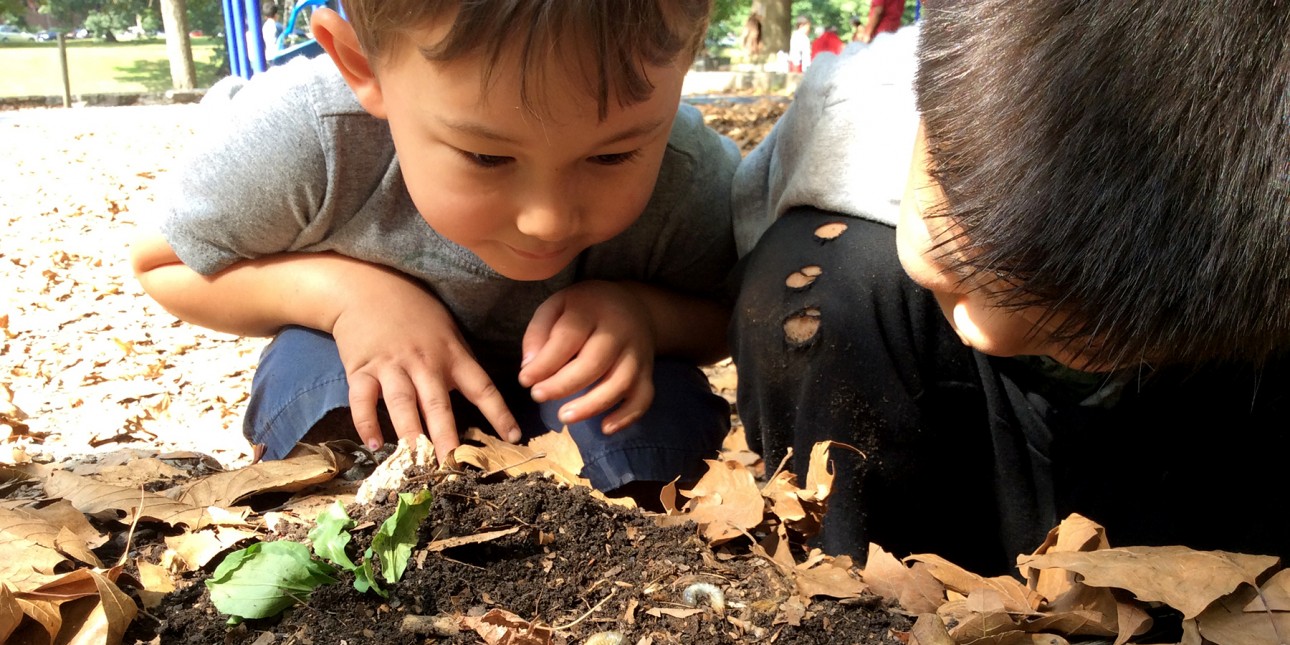 Children observe bug on nature playground