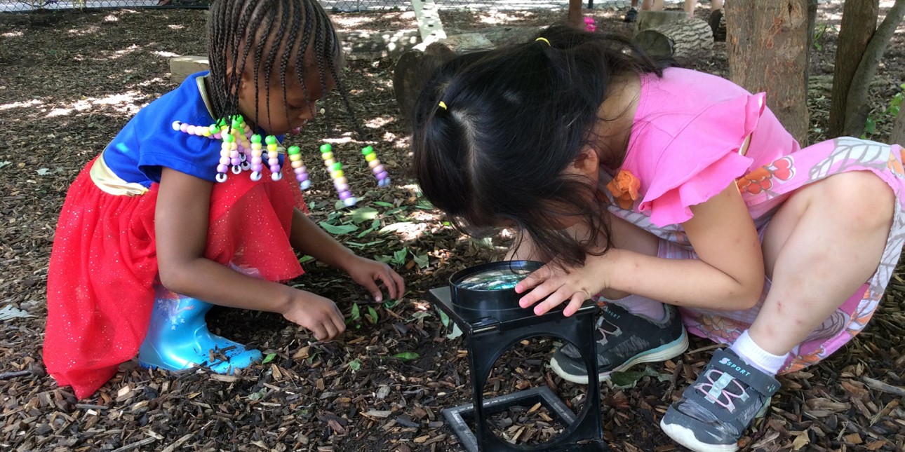 Looking at nature closely on the Nature Playground