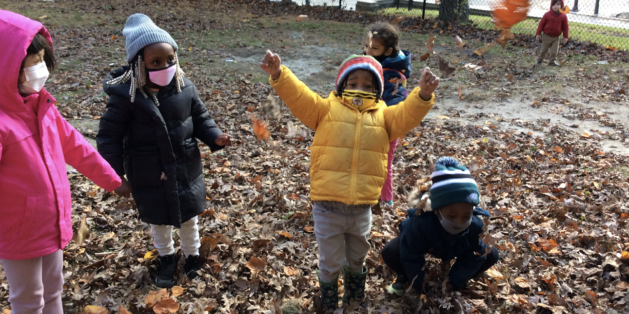 Leapfrogs frolic in the fall leaves