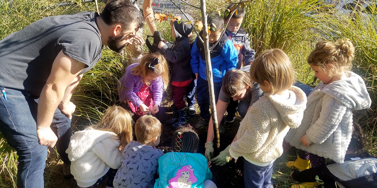 Planting a tree at PIC