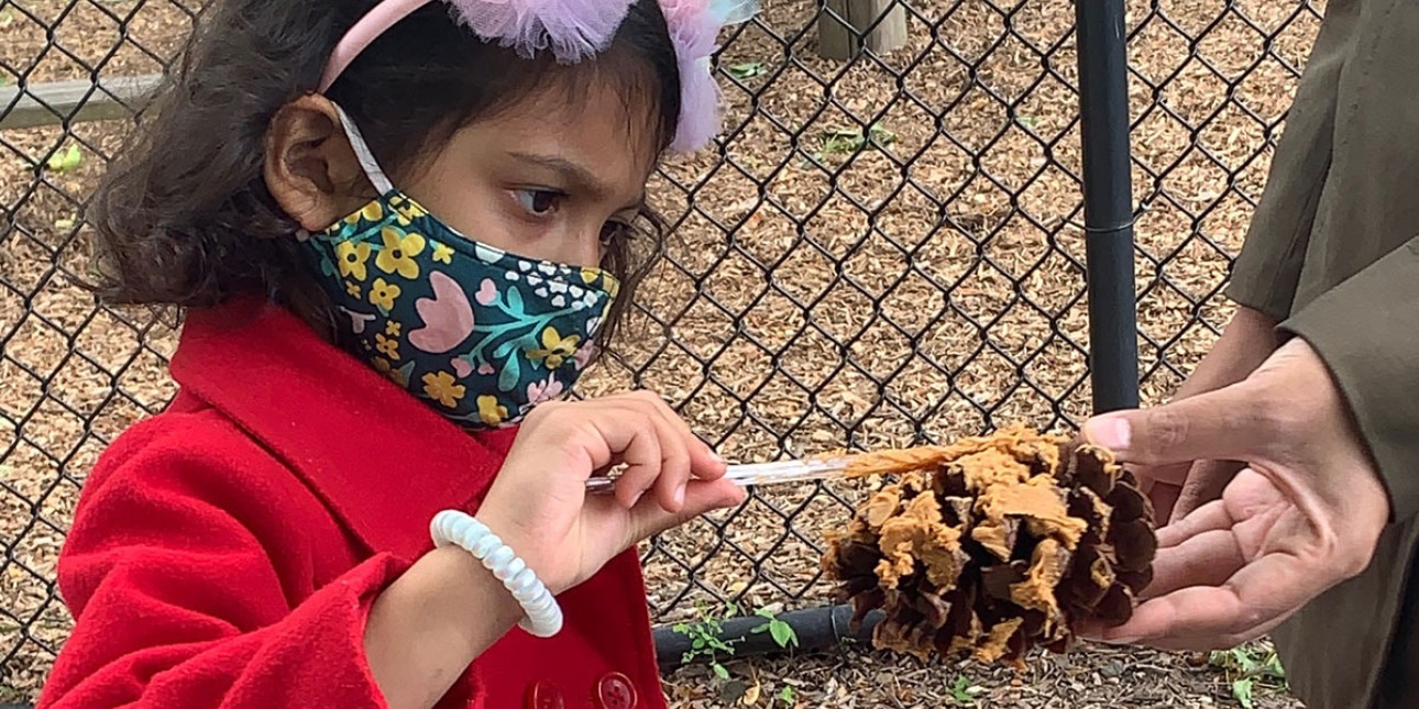 Day of Play bird feeder activity