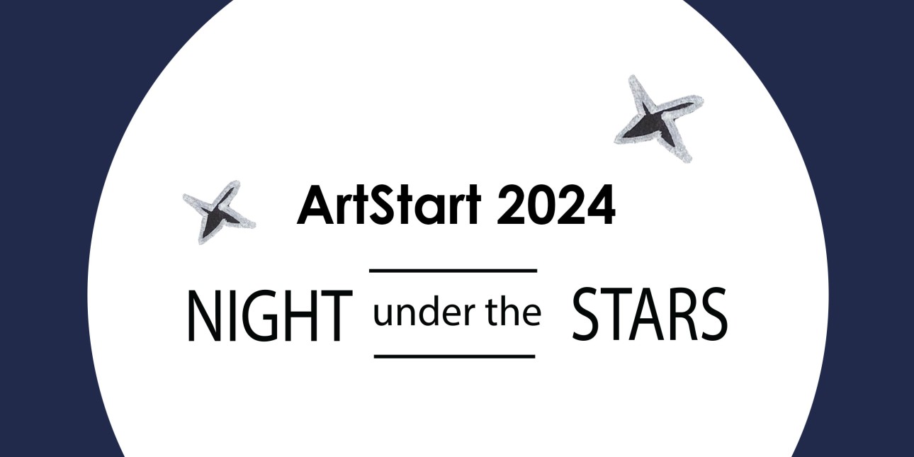 Night Under the Stars logo