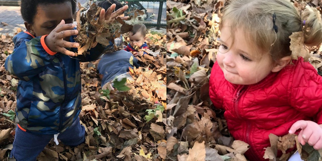 The Bumblebees playing in the autumn leaves