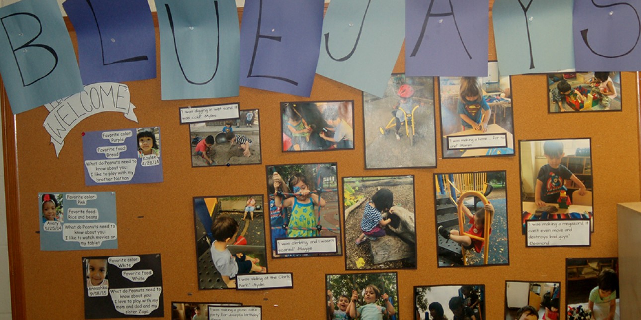 Blue Jay classroom welcome bulletin board