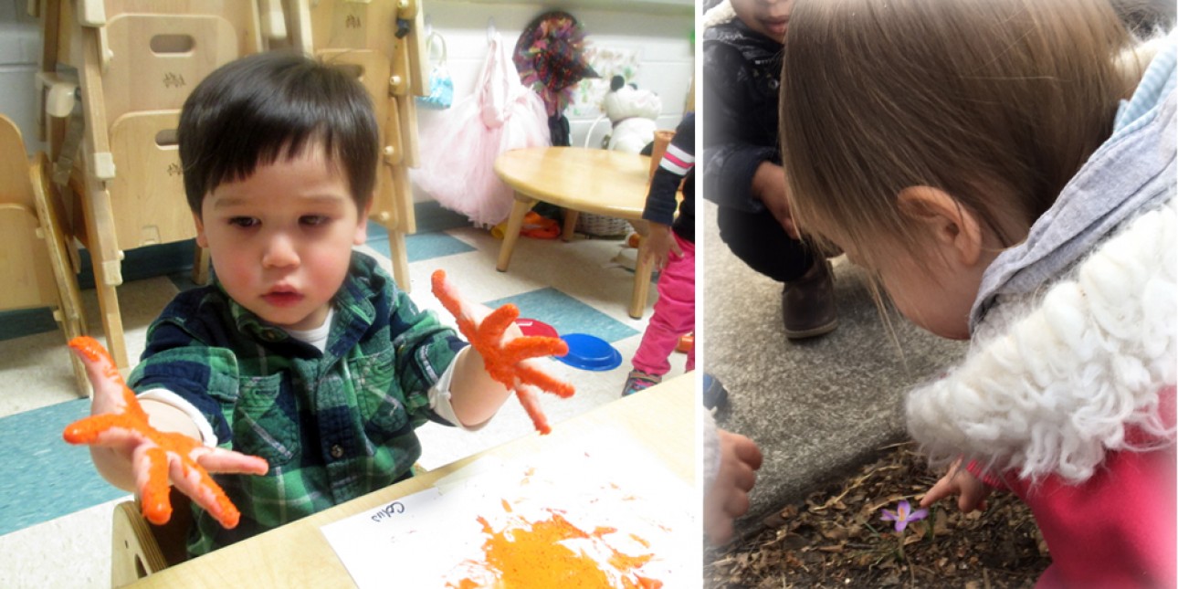 Exploring senses in the Caterpillars