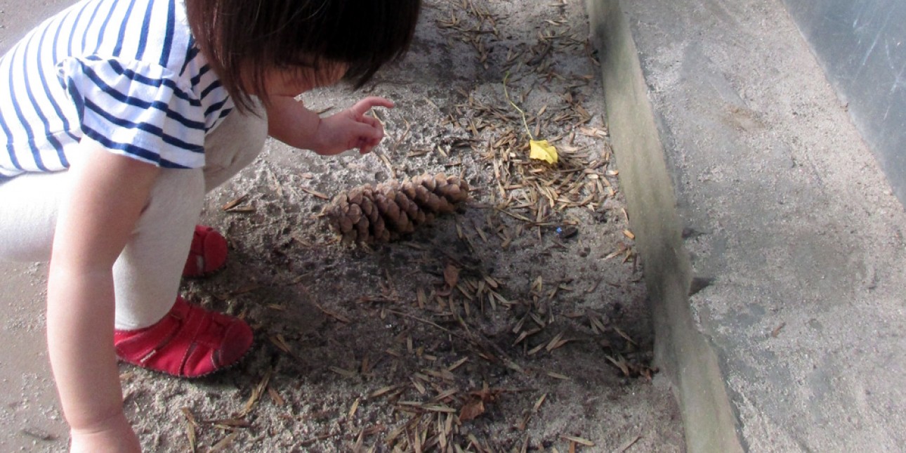 Young toddlers and outdoors collecting loose parts