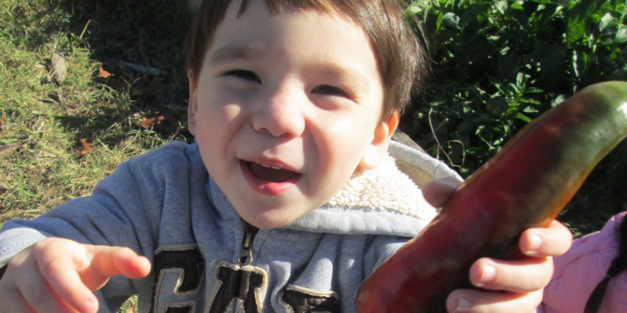 I picked a pepper on the farm!