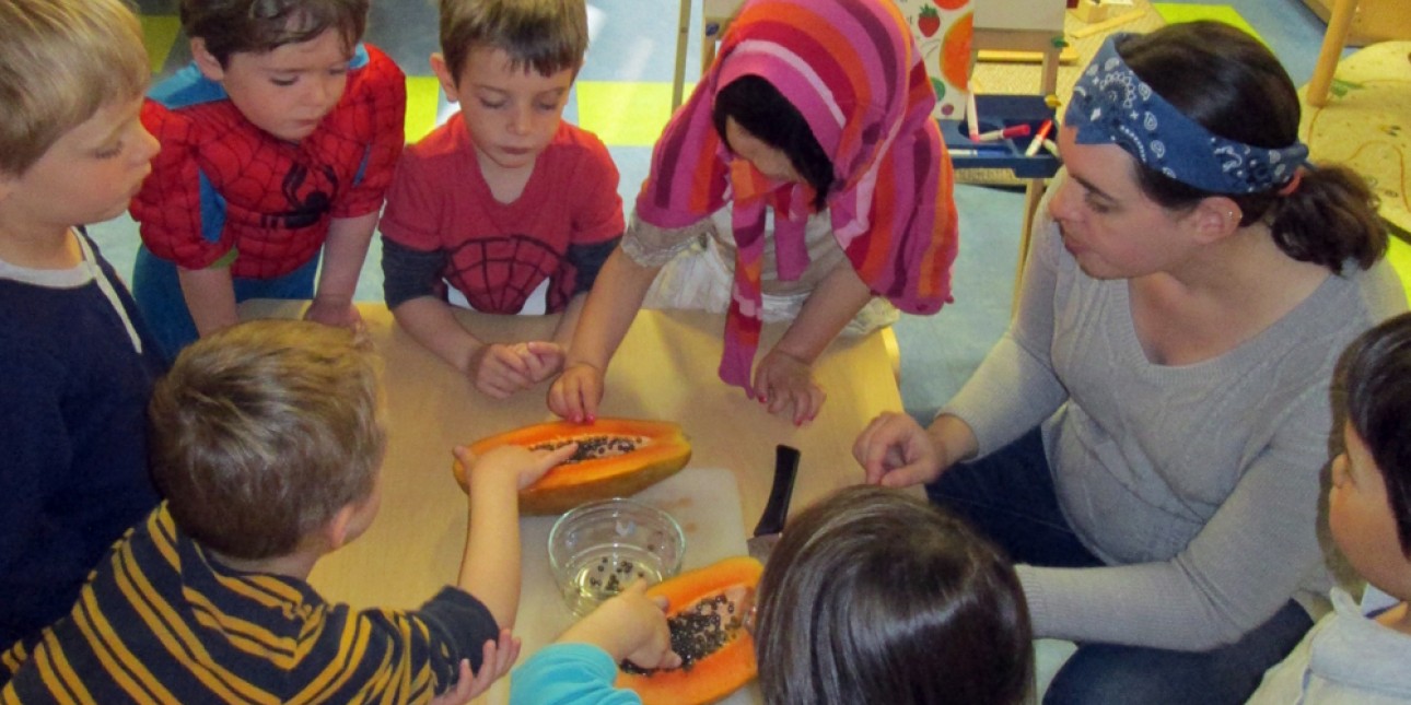 Grasshoppers studying seeds