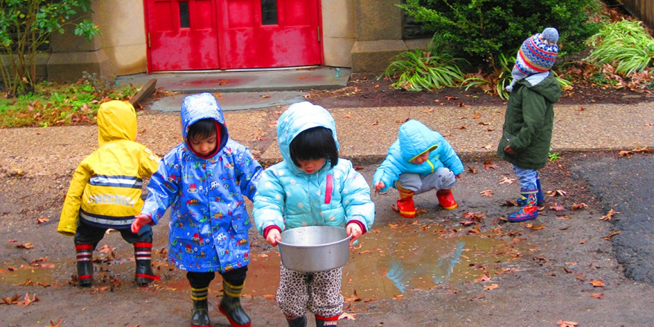 Sunshines in the rain