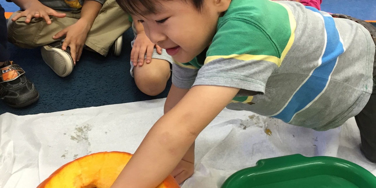 Leapfrogs examine a pumpkin