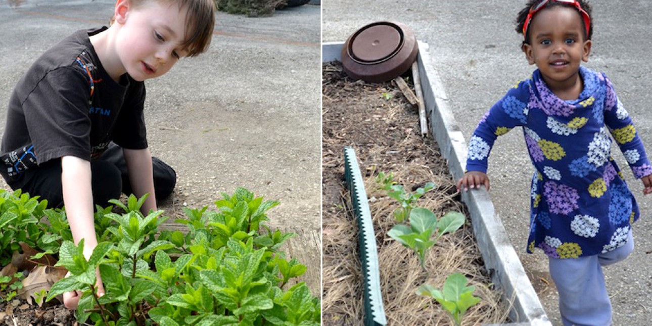 PIC Kids Garden at Home