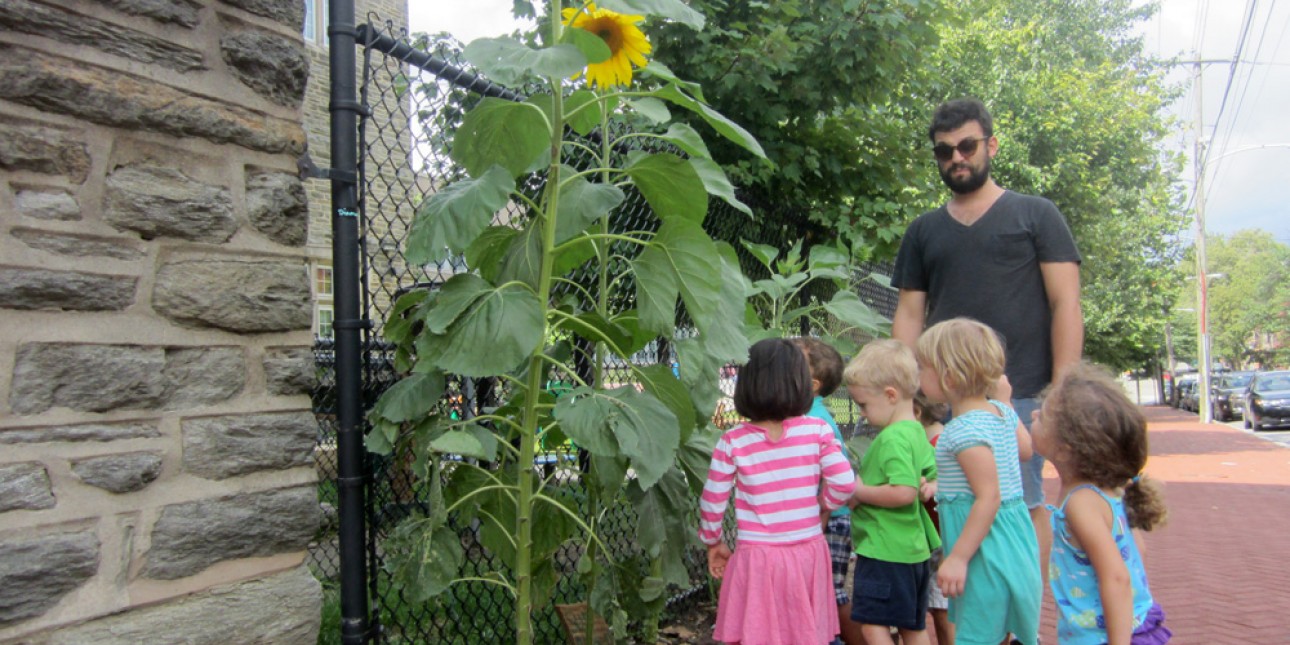 PIC Peanuts See the Sunflowers