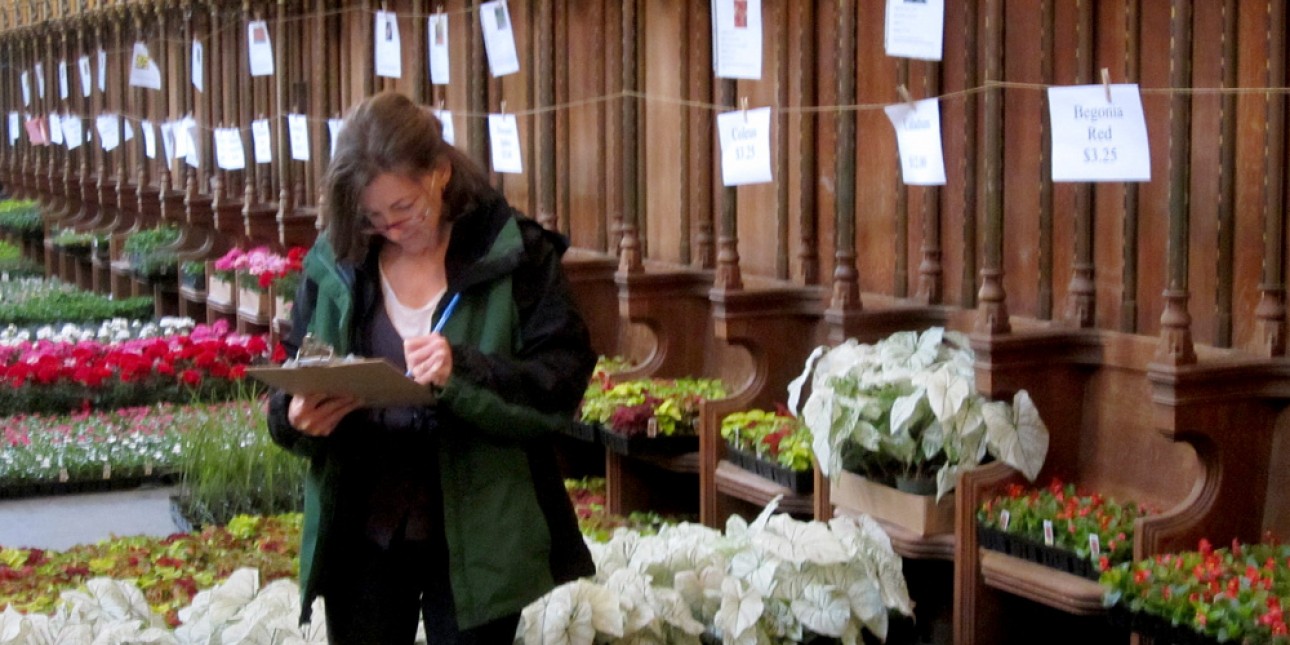 PIC's Karen Stachelek gets ready for the Plant Sale