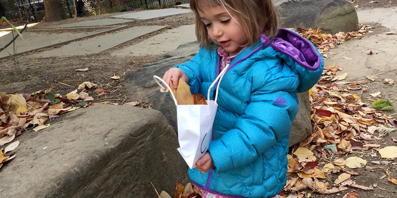 Toddlers collecting leaves