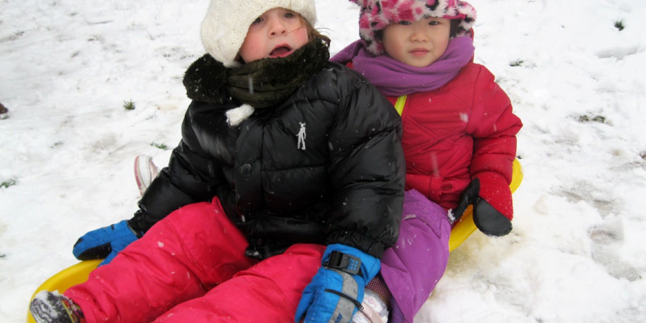 Starfish go sledding