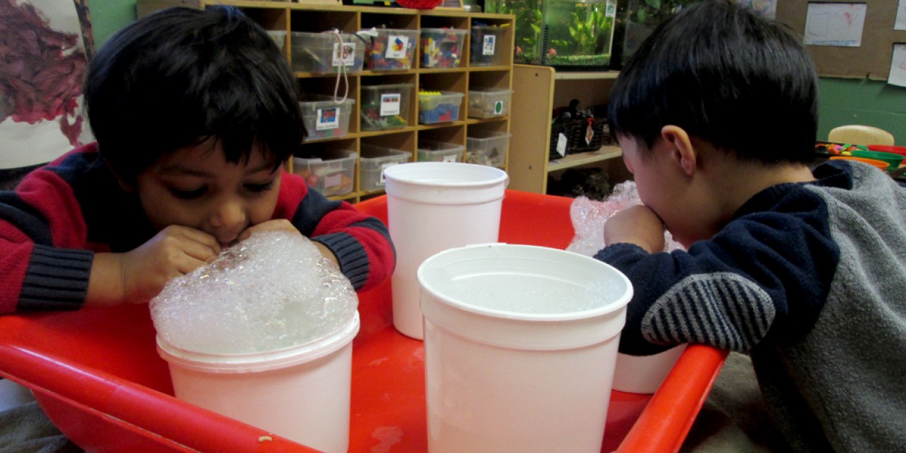 Fireflies experiment with science