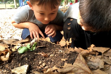Children observe bug on nature playground